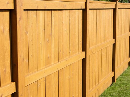 Belton, SC Fence Cleaning