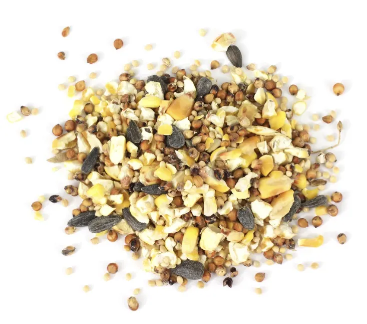 bird seed blend