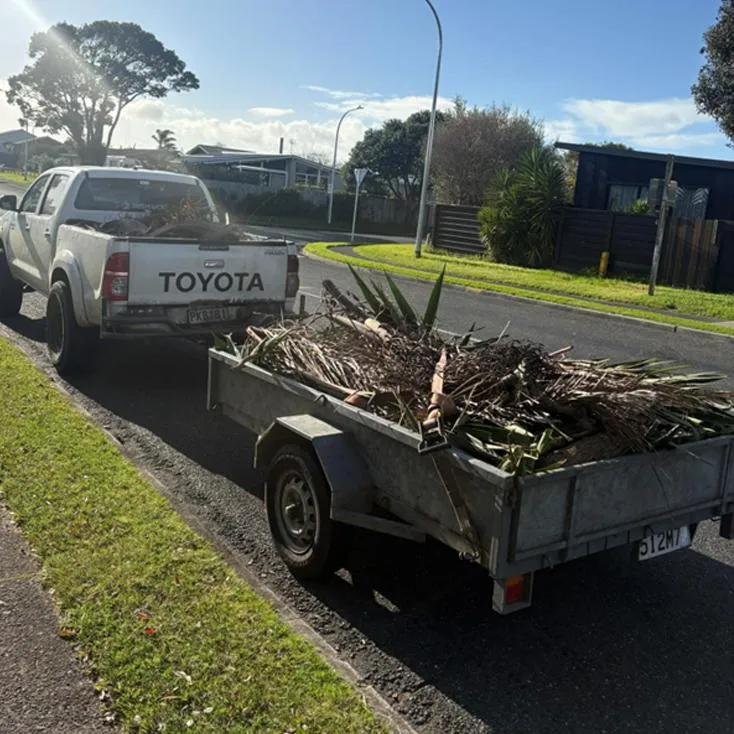 Mulching and debris removal Bay of Plenty
