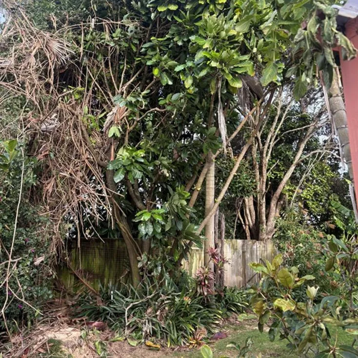  Storm damage clean-up Tauranga Bay of Plenty