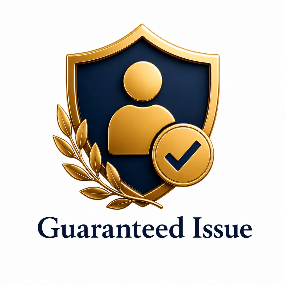 Guaranteed Issue Icon Financiko