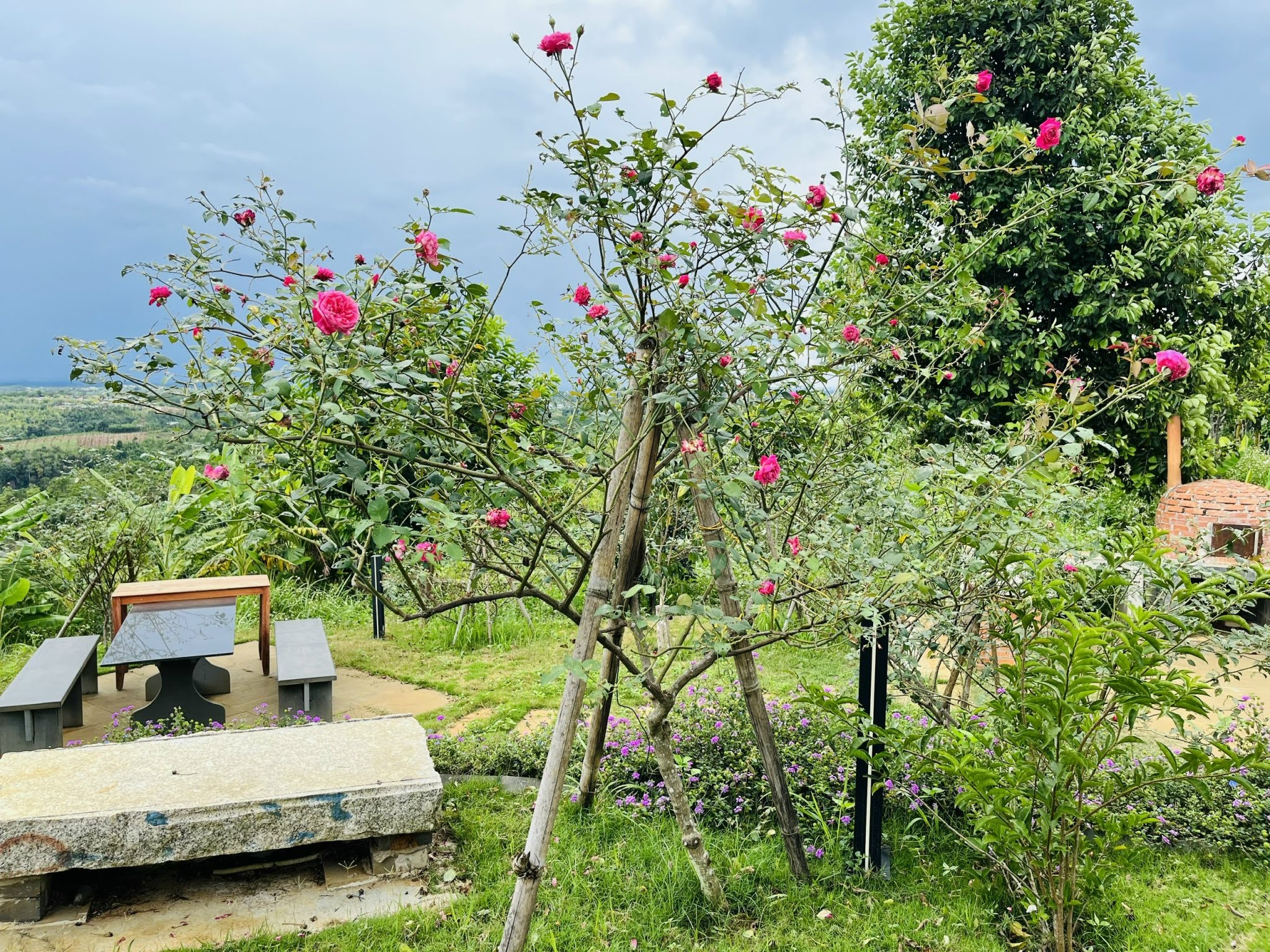 Khung cảnh thanh bình tại làng Hama