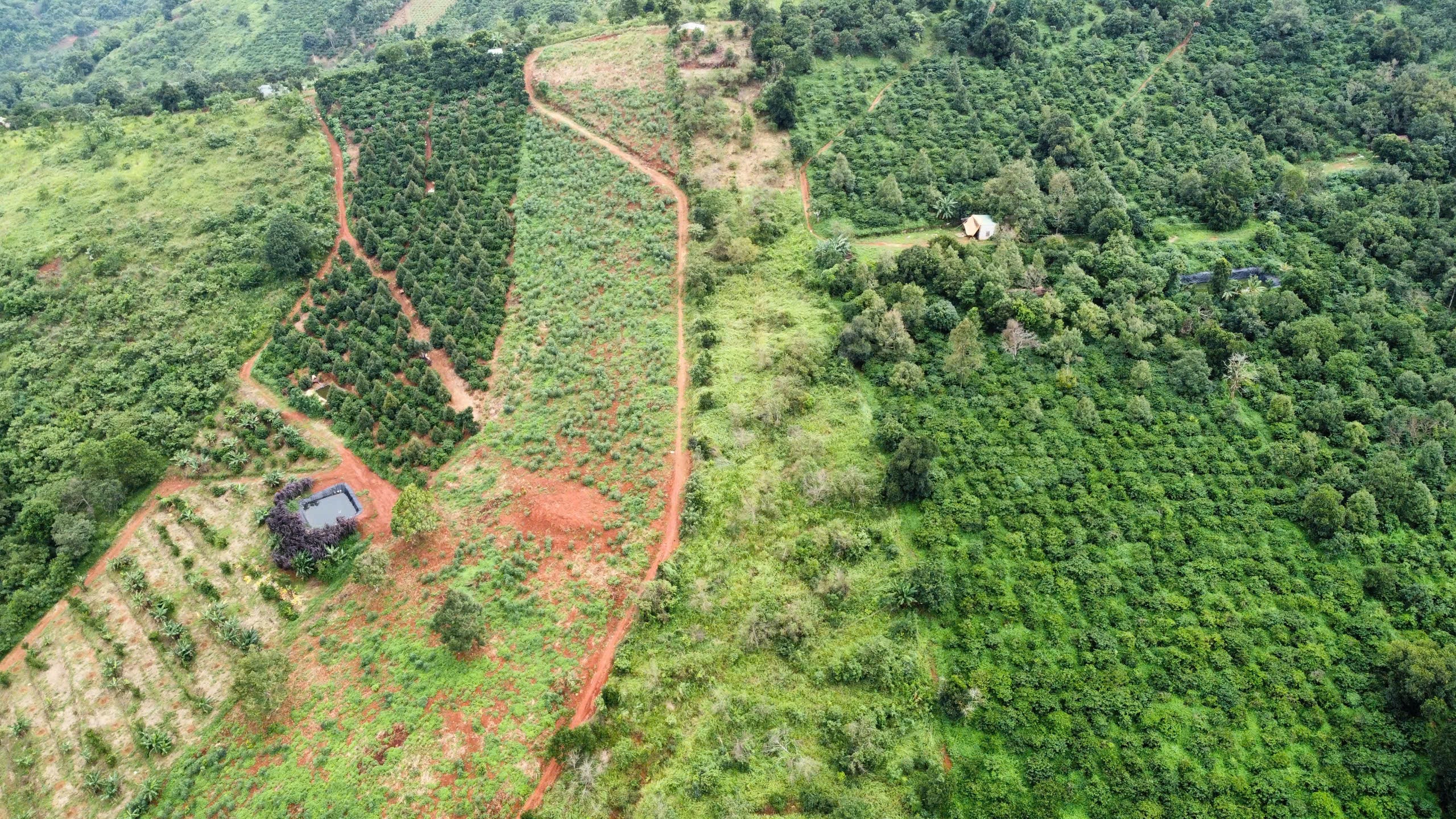 Lô 5 Hama Farm
