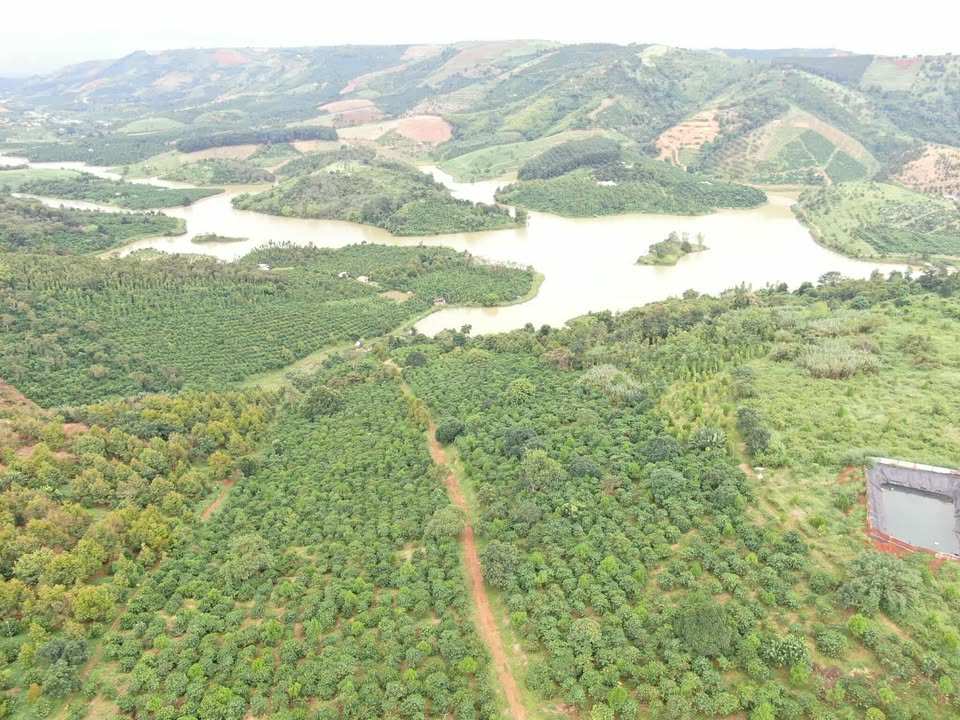 Lô 6 Đảo Thỏ