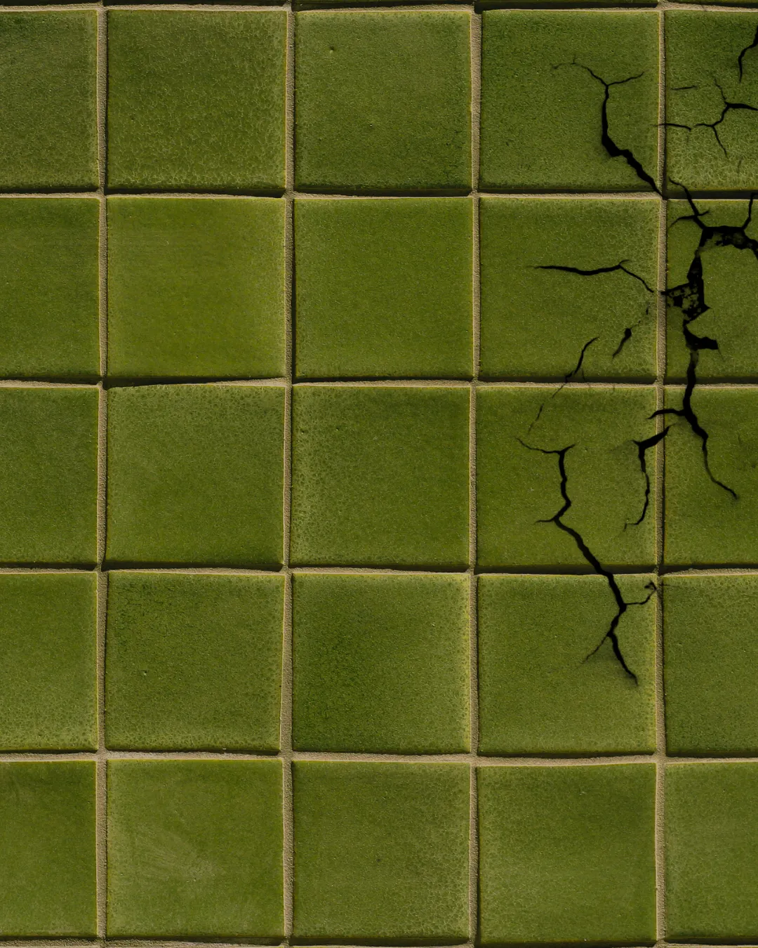 Dark green tiles with a crack in the top right hand corner