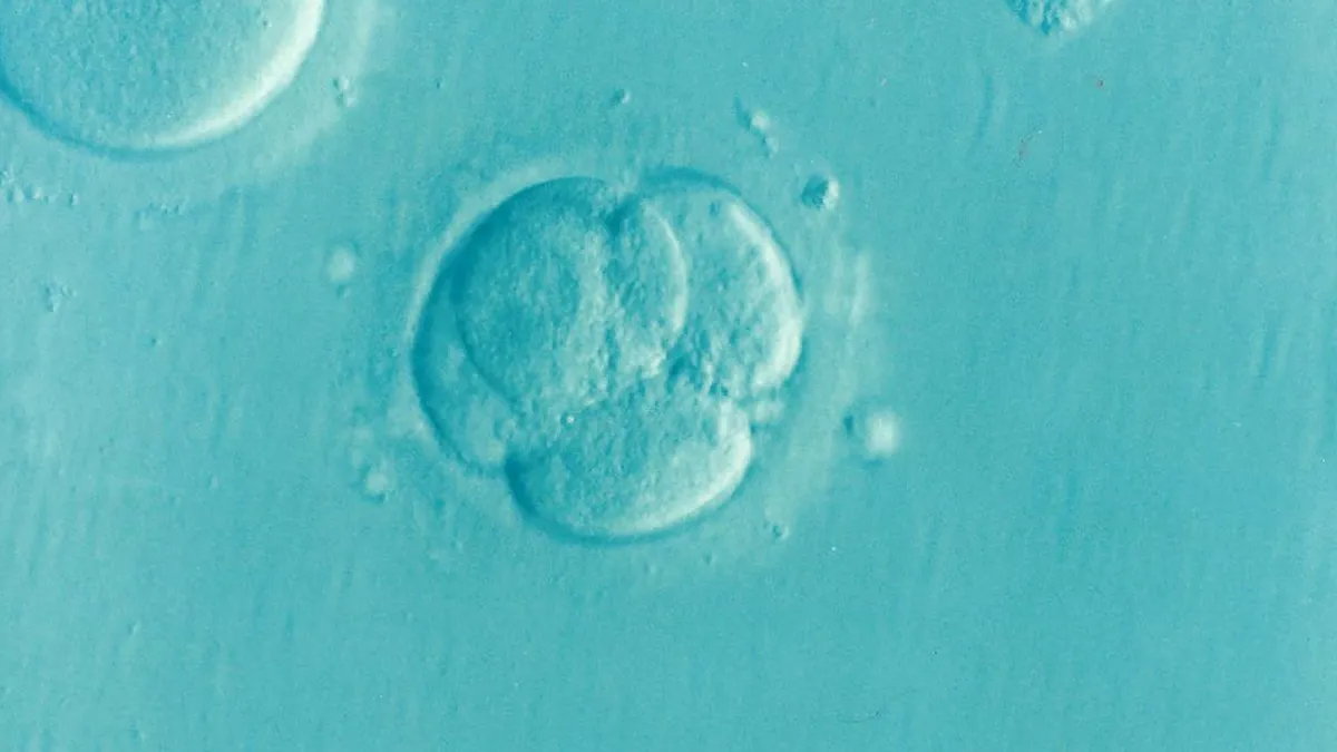 Where Our Story Starts: My Infertility Journey