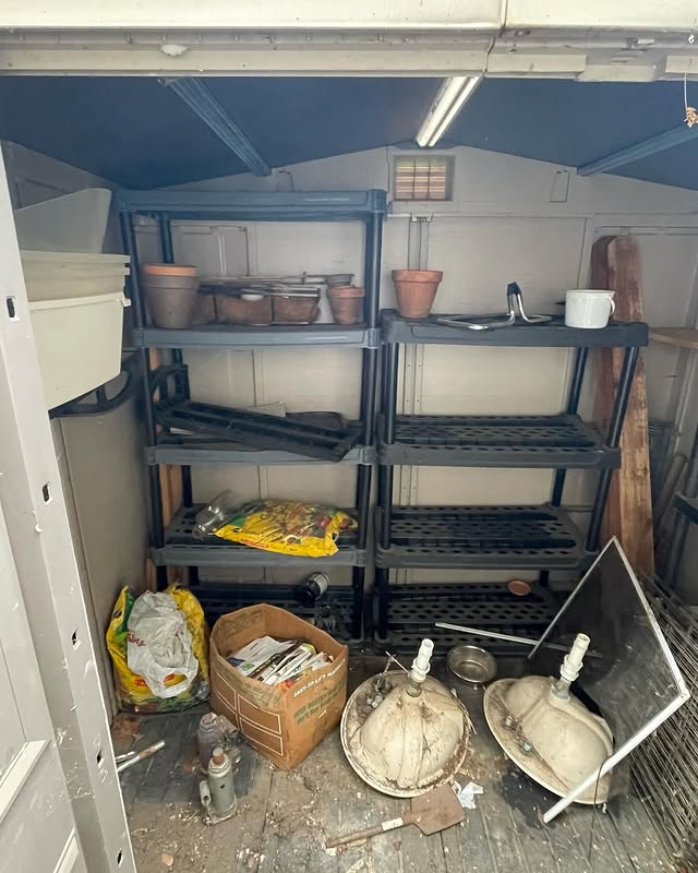 Shed Cleanout in Sacramento