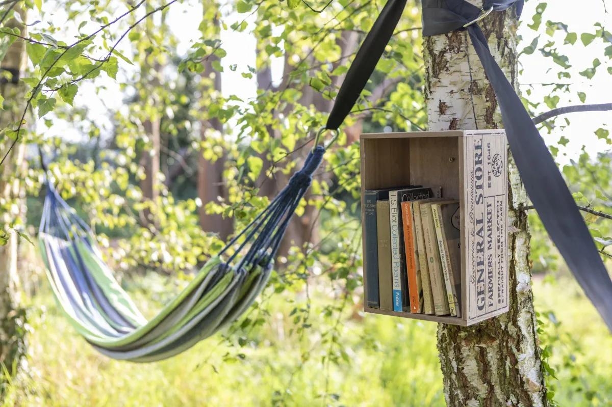 relax at stargazer glamping books and hammock 