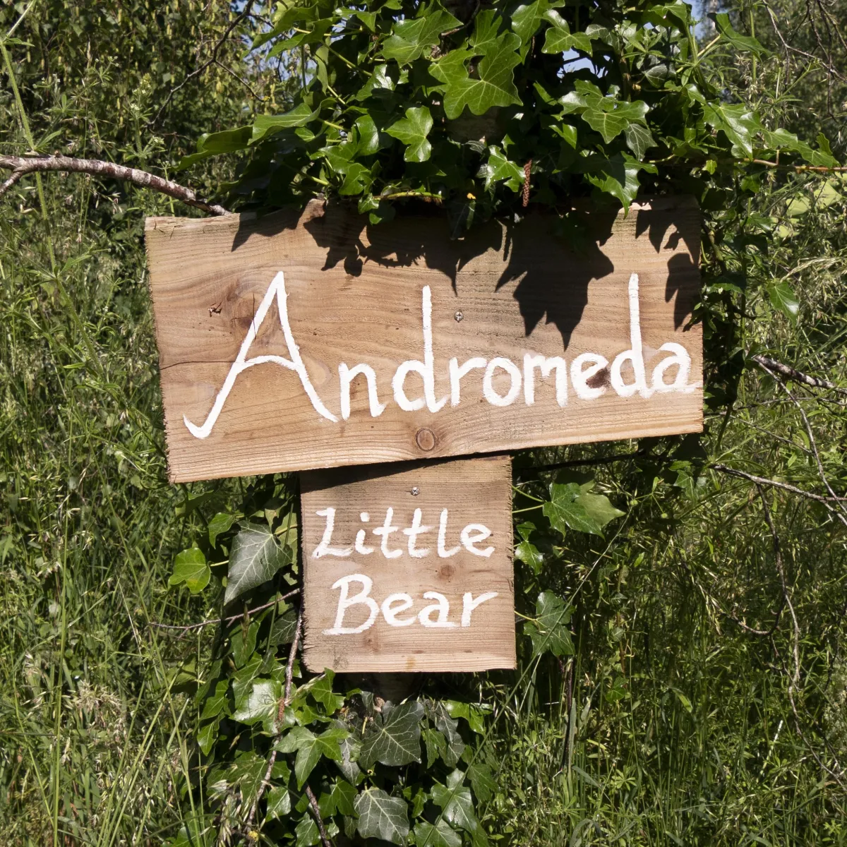 andromeda and little bear, stargazer glamping