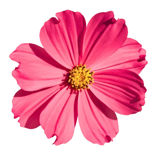 Female entrepreneurs personal growth Personal development coaching in UK Mindset coaching for women over 40 Emotional freedom for high-achieving women Personal development England