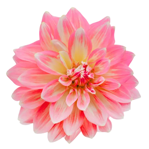 Freedom from feeling stuck Unlock your inner potential Heal emotional wounds Build lasting confidence Create a fulfilling life