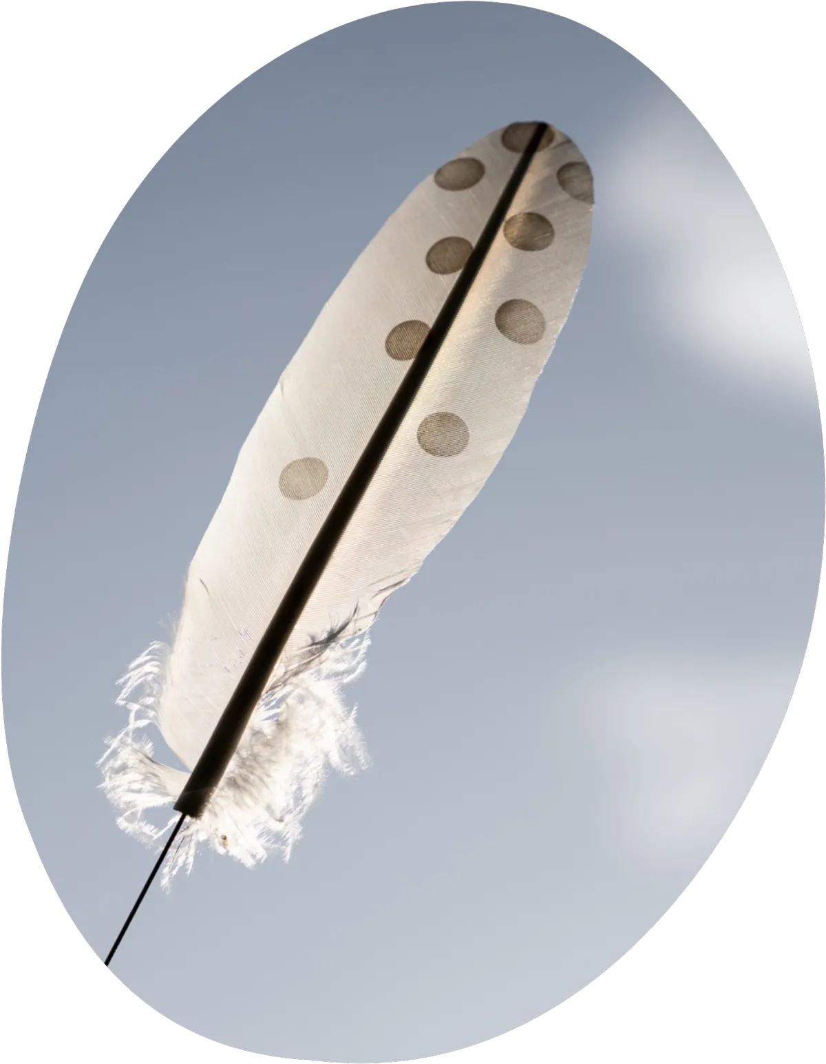 Symbol für mentale Klarheit, Energie, Gelassenheit und neue Perspektiven