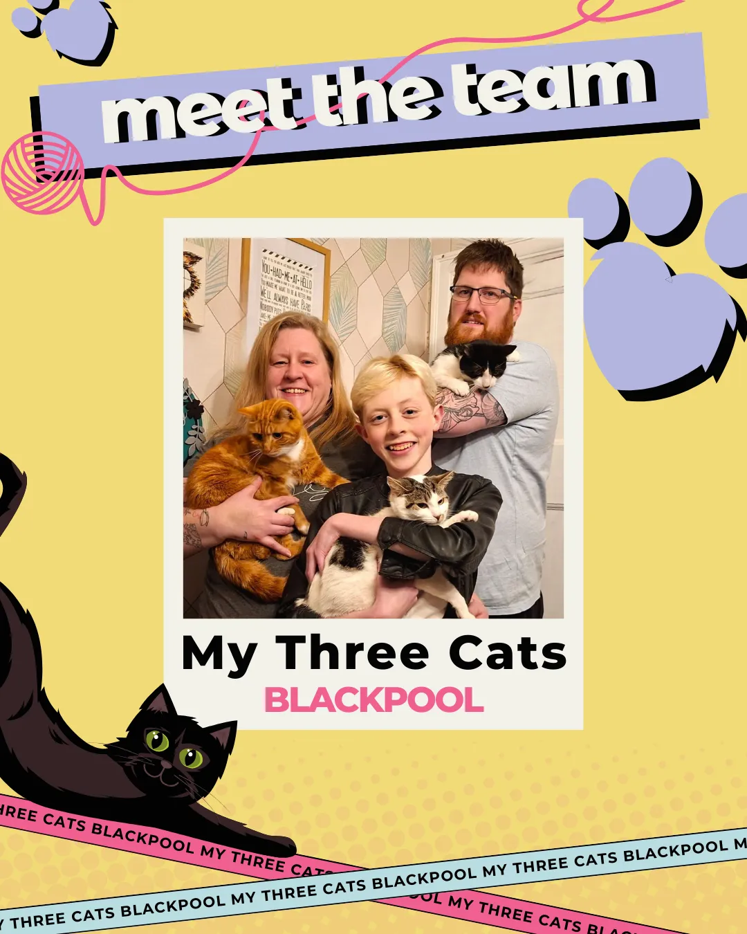 Lytham St Annes & Blackpool Cat Sitting Service