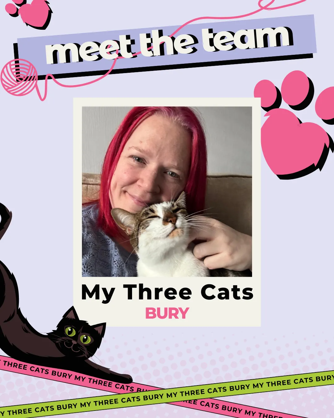 Cat Sitting in Bury | Meet Mickey: The Cat Behind My Three Cats Bury