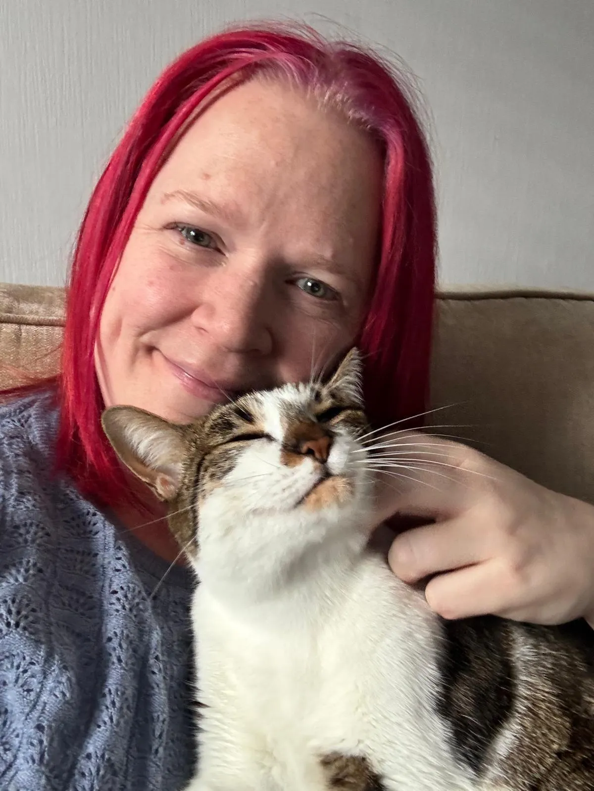 Cat Sitting in Bury | Meet Mickey: The Cat Behind My Three Cats Bury