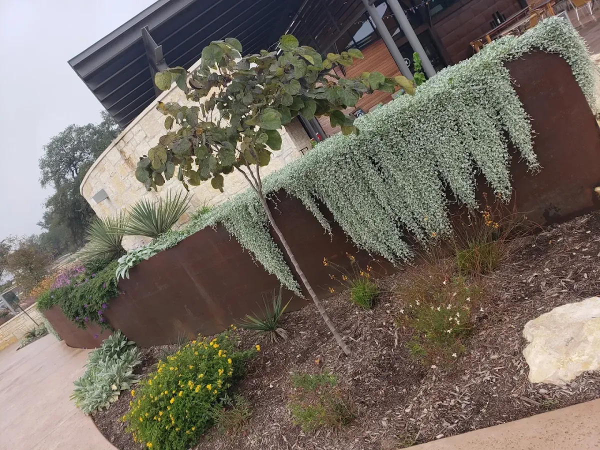 Freshly mulched garden bed with tirimmed plants.