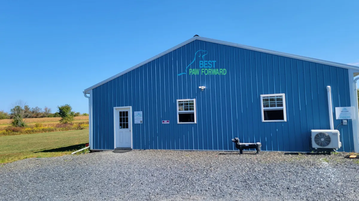 A young Asian woman sitting on her porch, smiling as she talks on her phone with a notepad in hand. Her golden retriever lies beside her, looking up. The background is a cozy, sunlit home exterior. Clean, modern style.