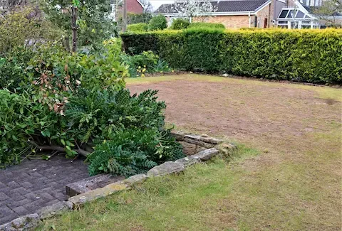 Lawn pest and grub damage assessment by Bloomington Lawn & Snow