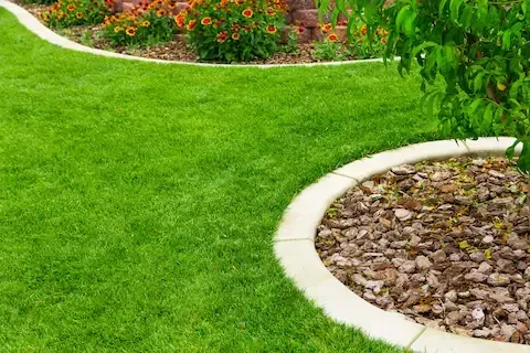 Lawn edging and vibrant turf maintenance by Bloomington Lawn & Snow