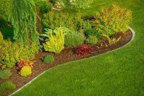 Professional lawn and landscape maintenance by Bloomington Lawn & Snow