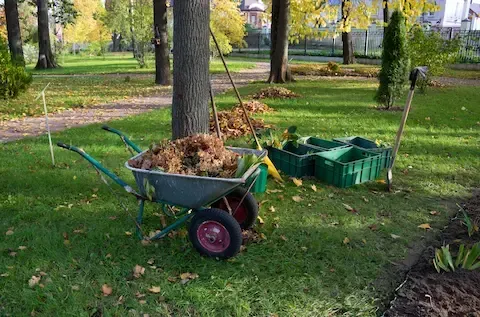 Fall leaf cleanup and yard debris removal by Bloomington Lawn & Snow