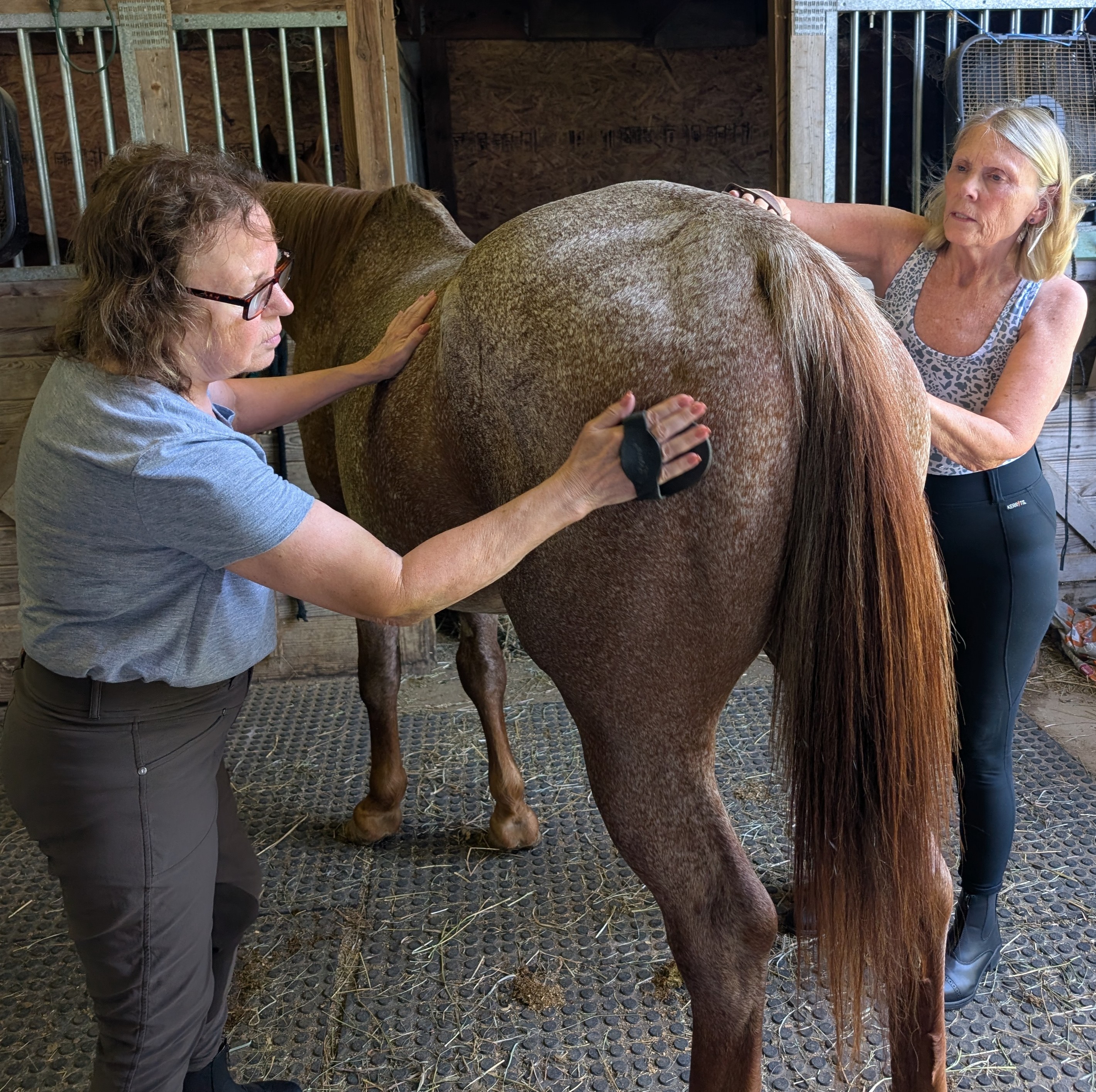 Why Unmounted Horsemanship is Just as Important as Riding