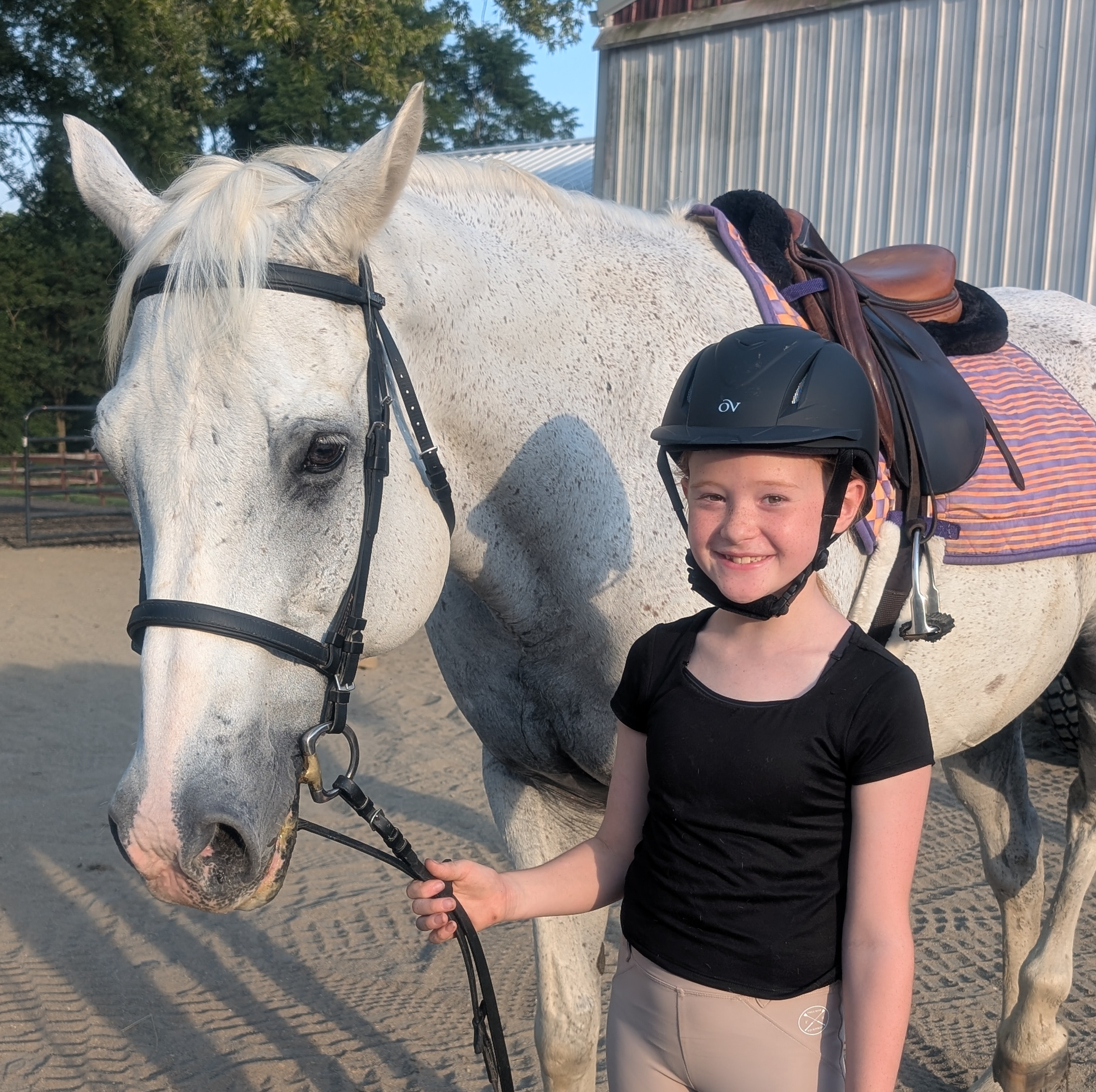 5 Things to Look for in a Safe Riding School Near Louisville