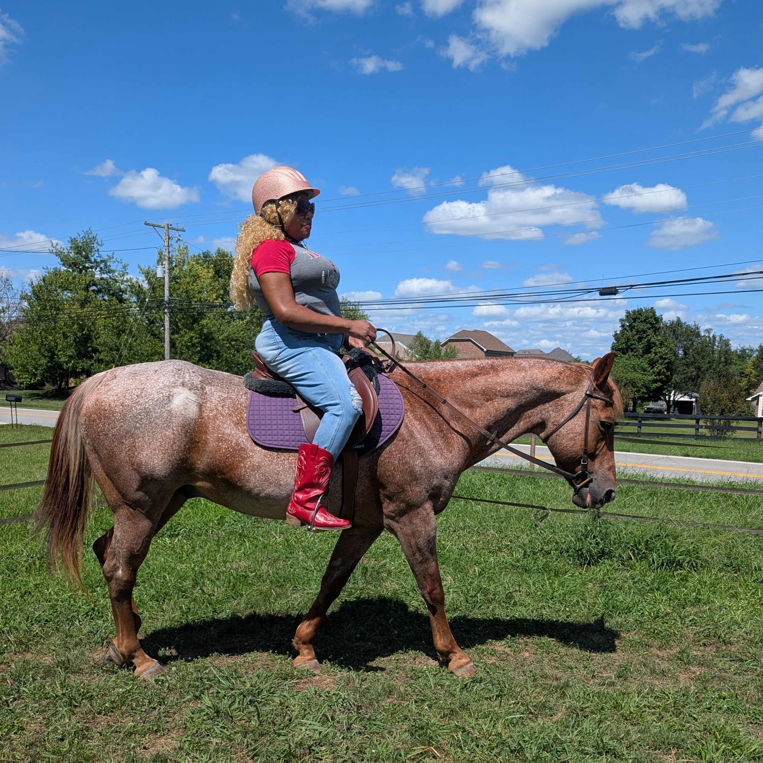 10 Horseback Riding Safety Rules For Every Beginner