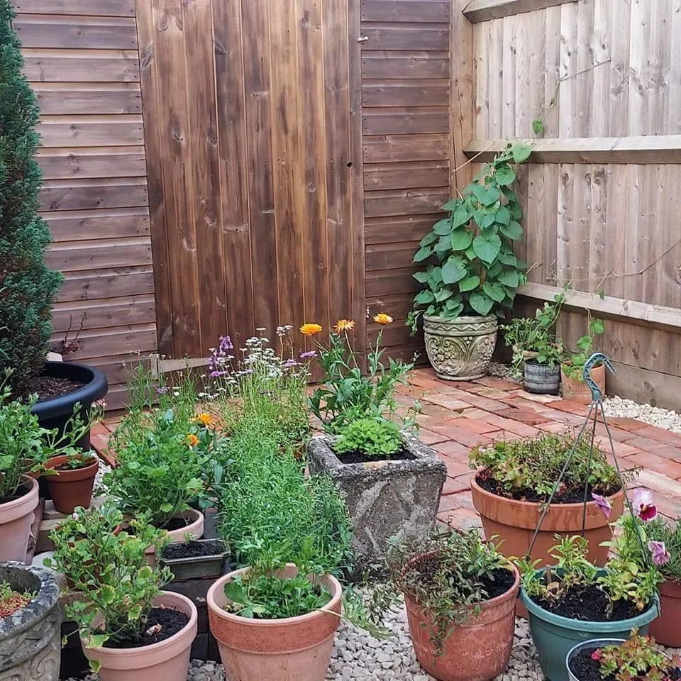 two people walking down a path in a garden