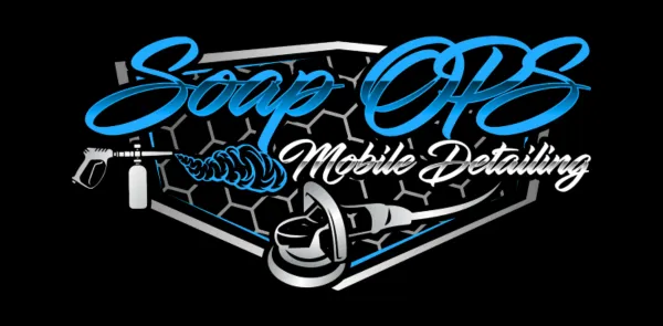 Mobile Car Detailing Sarasota, FL