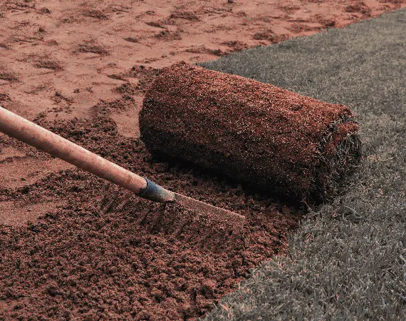 Landscaping