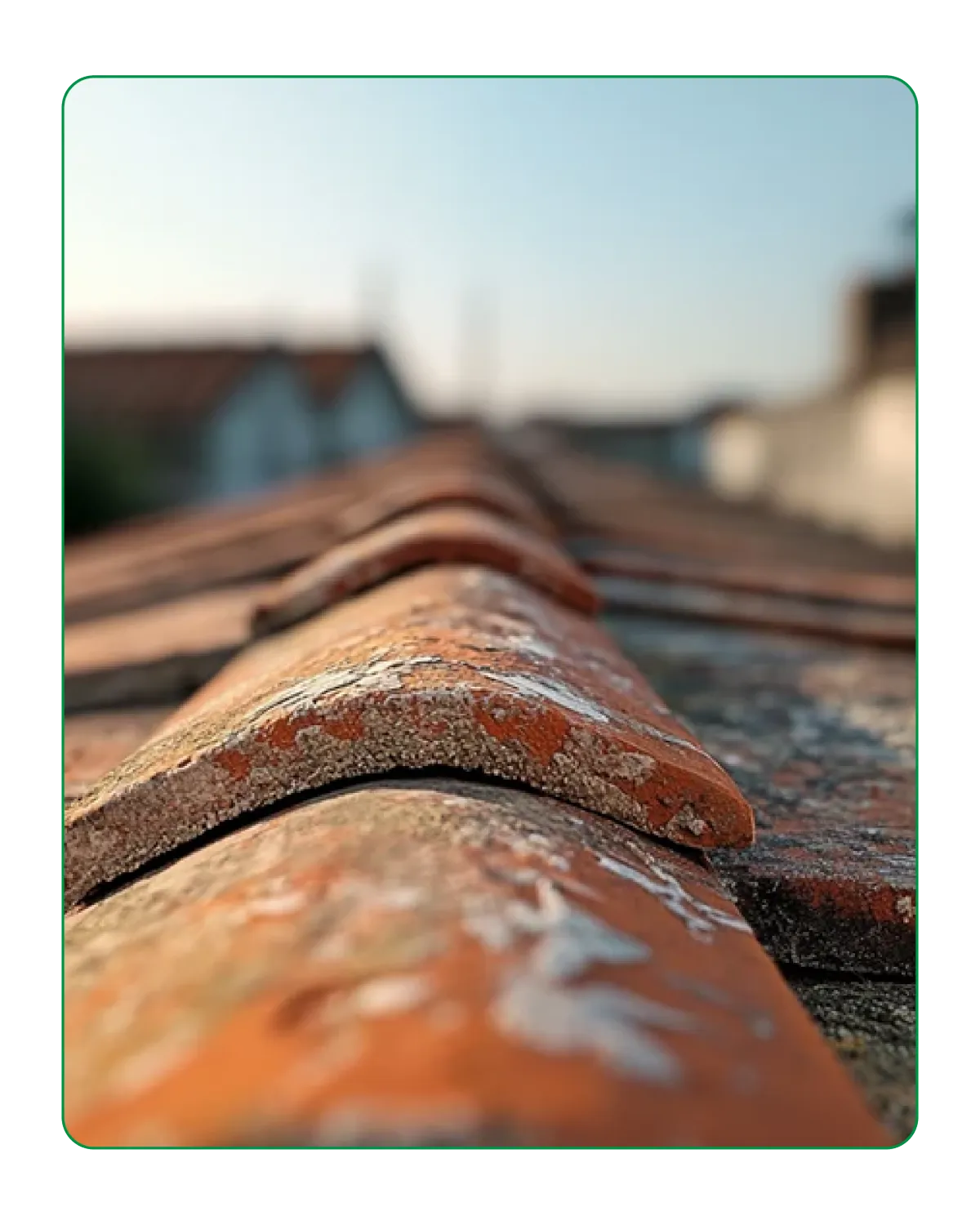 Re Pointing and Re Bedding 