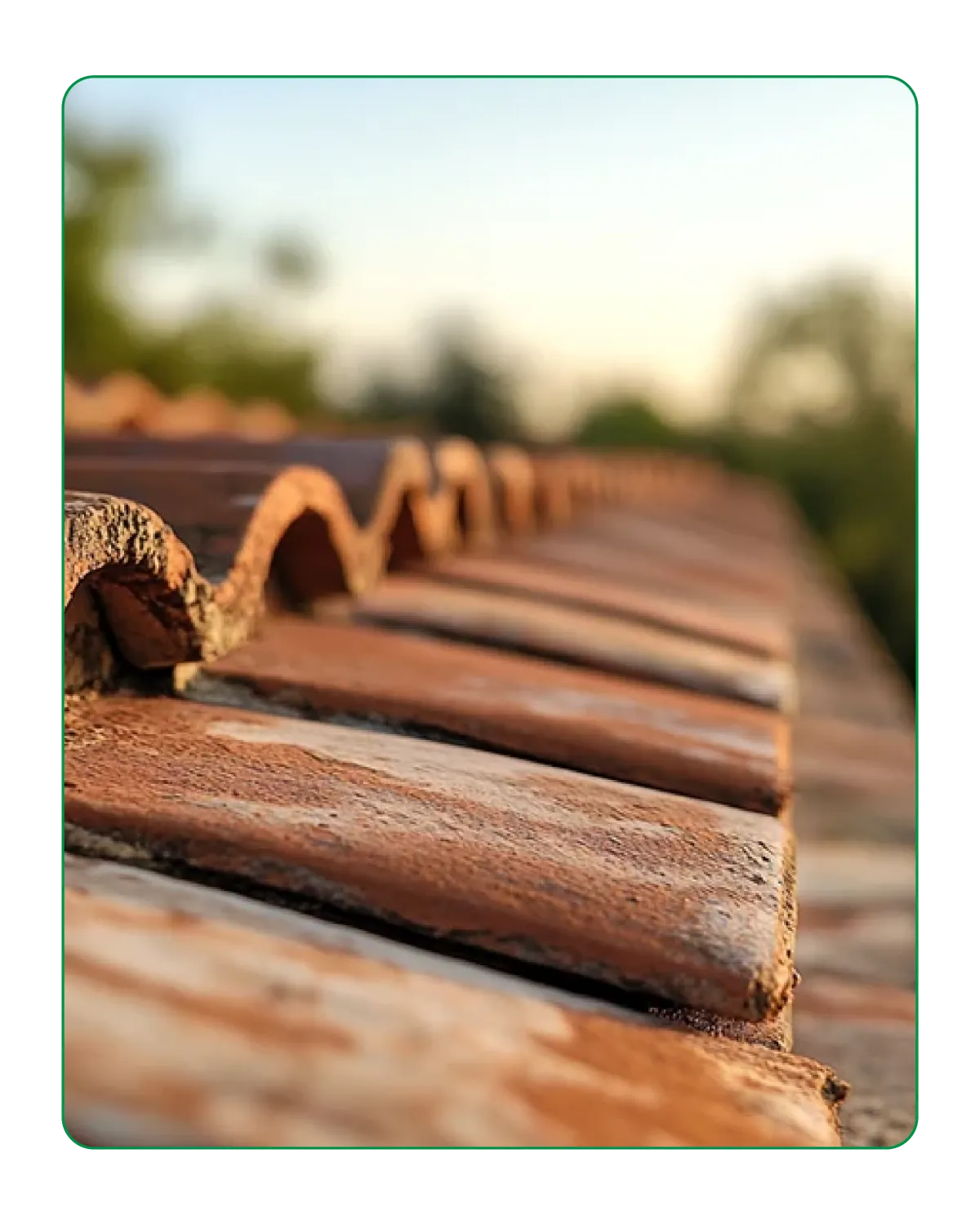 Terracotta Roof Tiles
