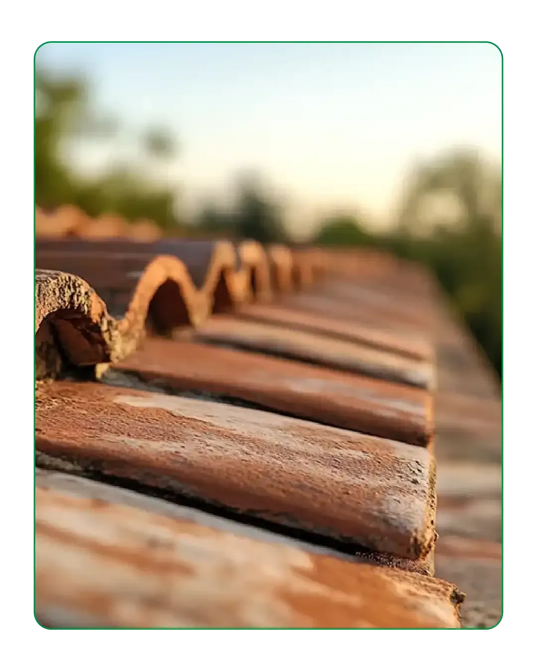 Terracotta Roof Tiles