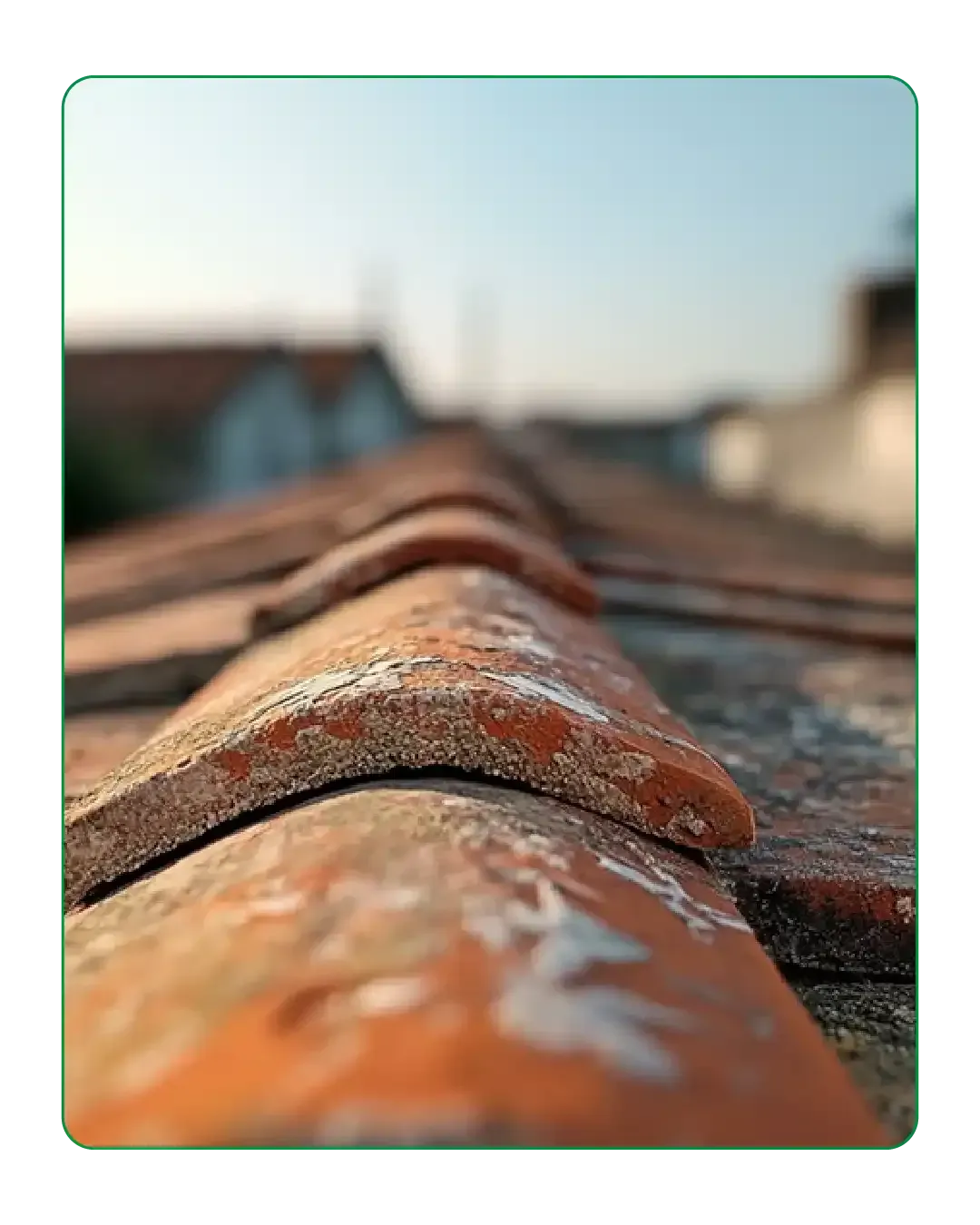 Re Pointing and Re Bedding 