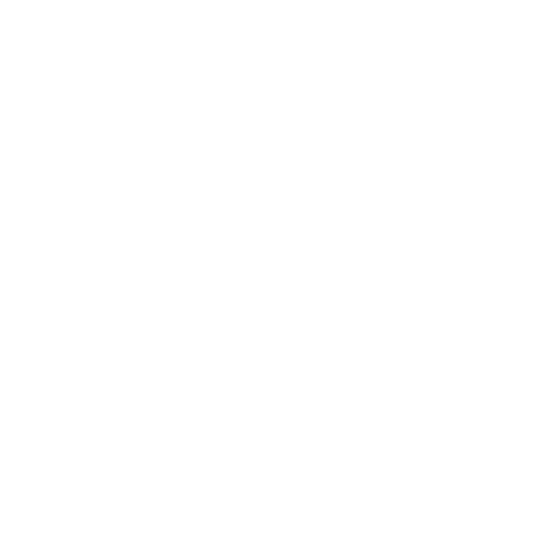 Psicologa trabajando en una computadora