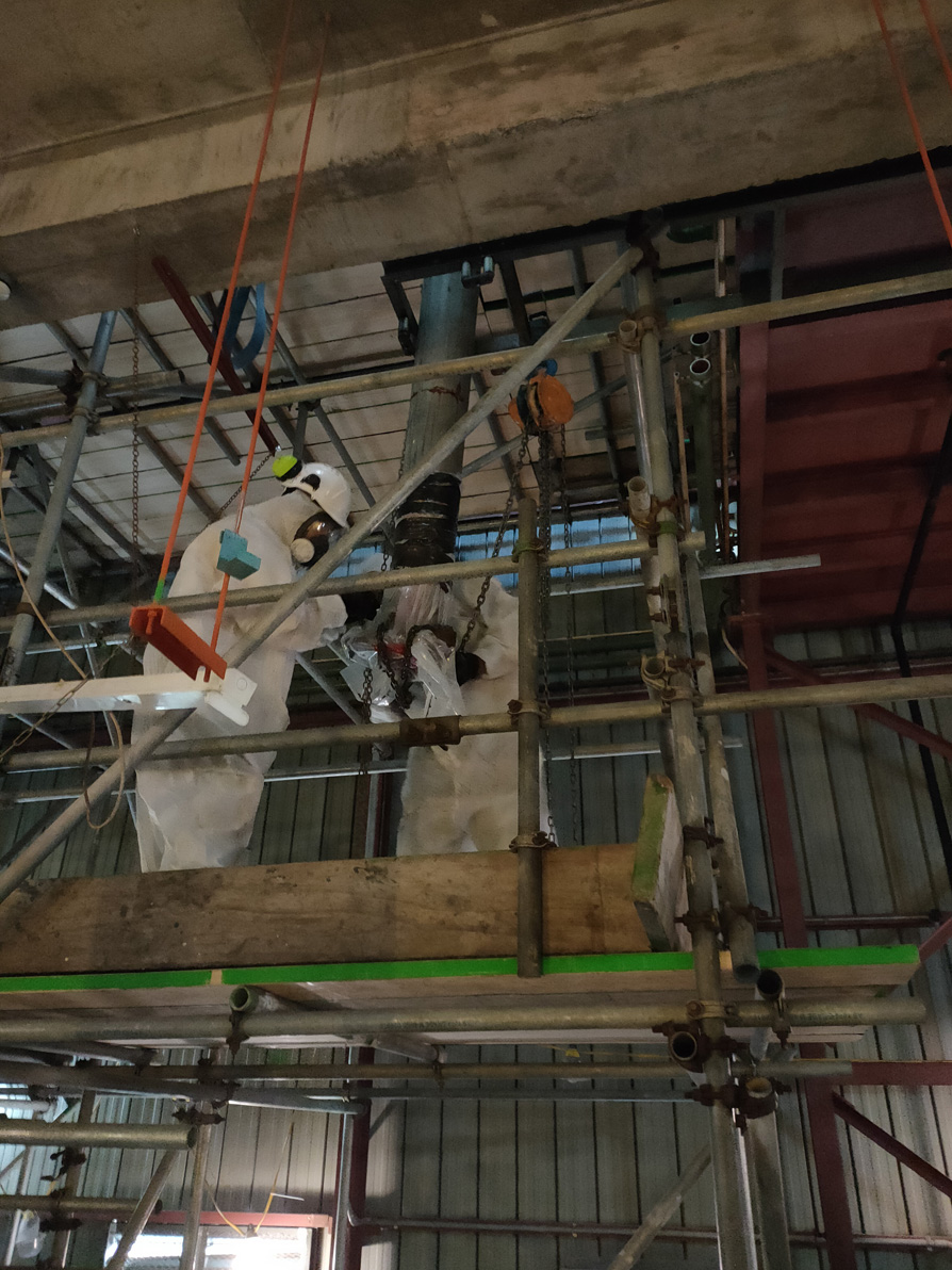 Professional Concrete Layer Auckland NZ