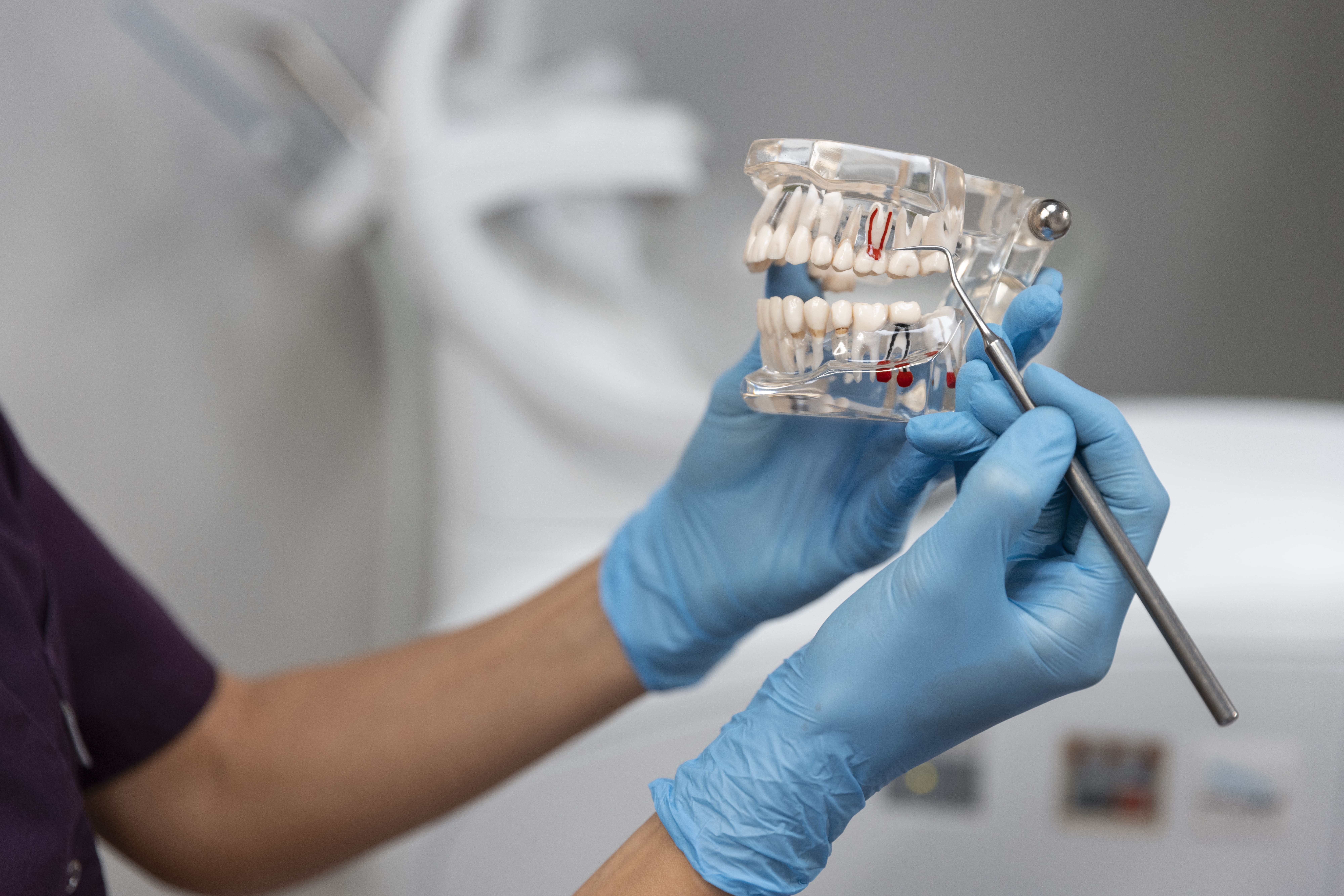 {{ custom_values.service_1 }} in {{custom_values.biz_area_1})