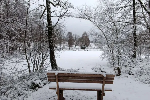 MonatsRückBlog Februar - Zwischen Lebensfreude und Abschied