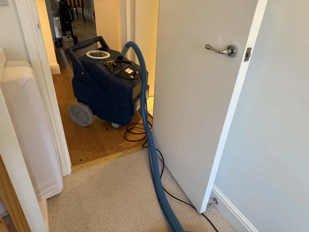cheap carpet cleaning
