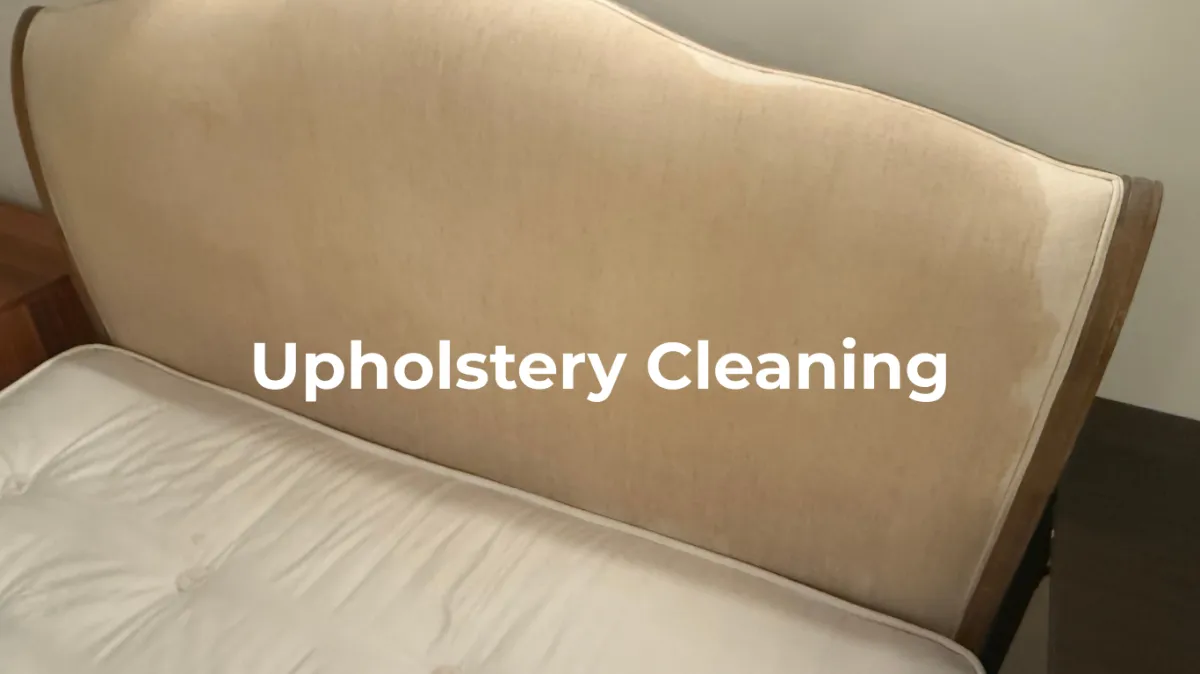 Pristine carpet services based in London logo