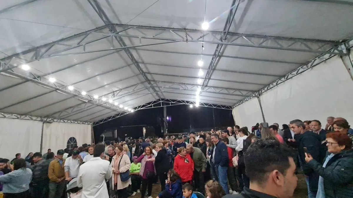 Tardeos, Fiestas y Verbenas