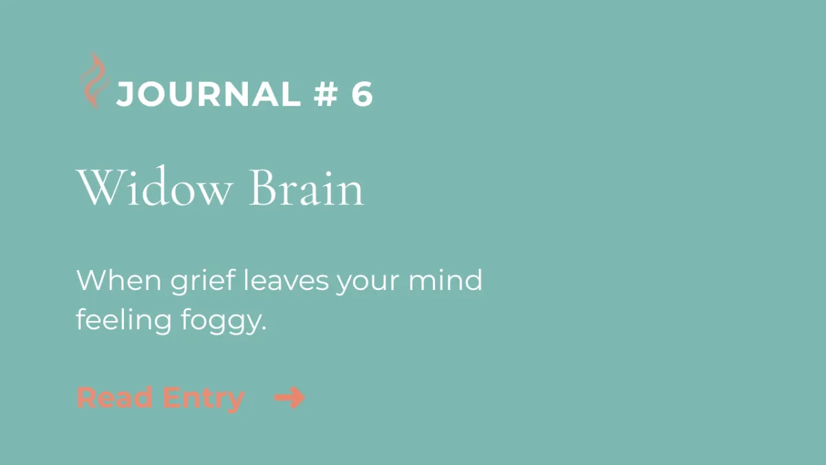 Journal Entry #6 | Widow Brain