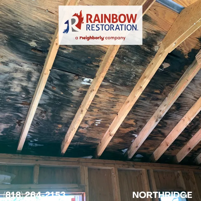 Mold Removal near Granada Hills - Rainbow Restoration - Northridge