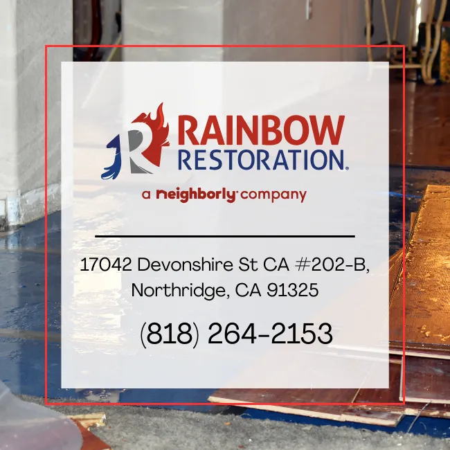 Restoration Services Near Northridge -Rainbow Restoration of Northridge