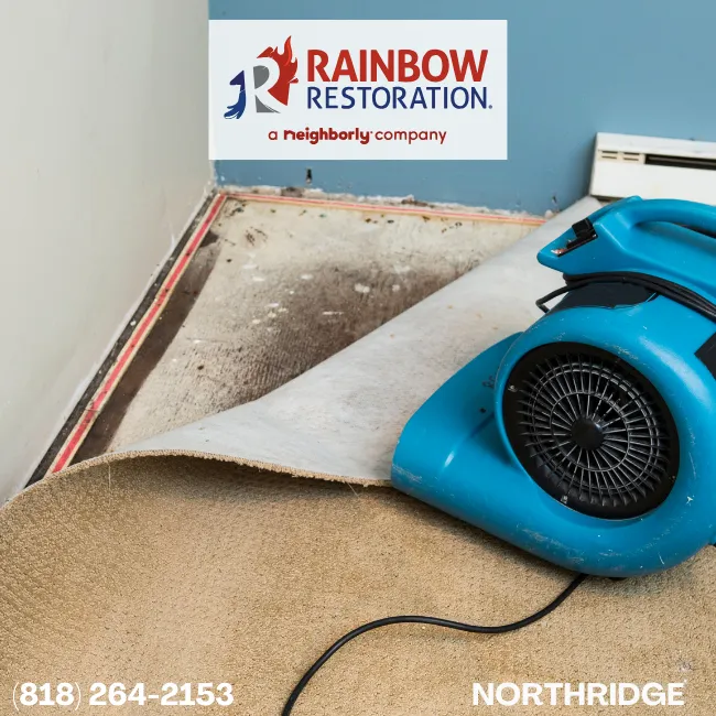 Restoration Services near North Hills - Rainbow Restoration - Northridge