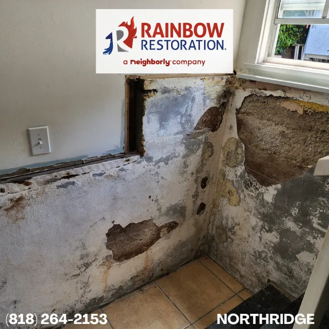 tarzana-restoration-services-rainbow-restoration of northridge 12