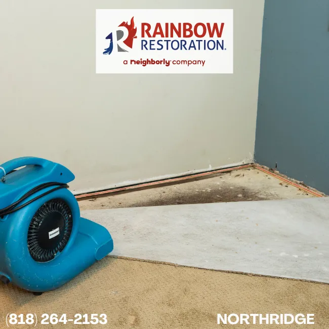 encino-restoration-services-rainbow-restoration-of-northridge-20