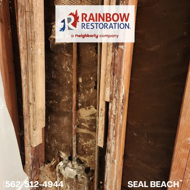 signal-hill-restoration-services-rainbow-restoration-of-seal-beach-4