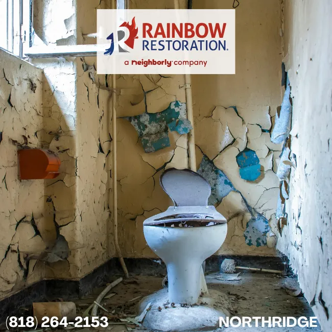 sherman-oaks-restoration-services-rainbow-restoration-of-northridge-1